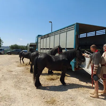 شقة Fila I Jure *